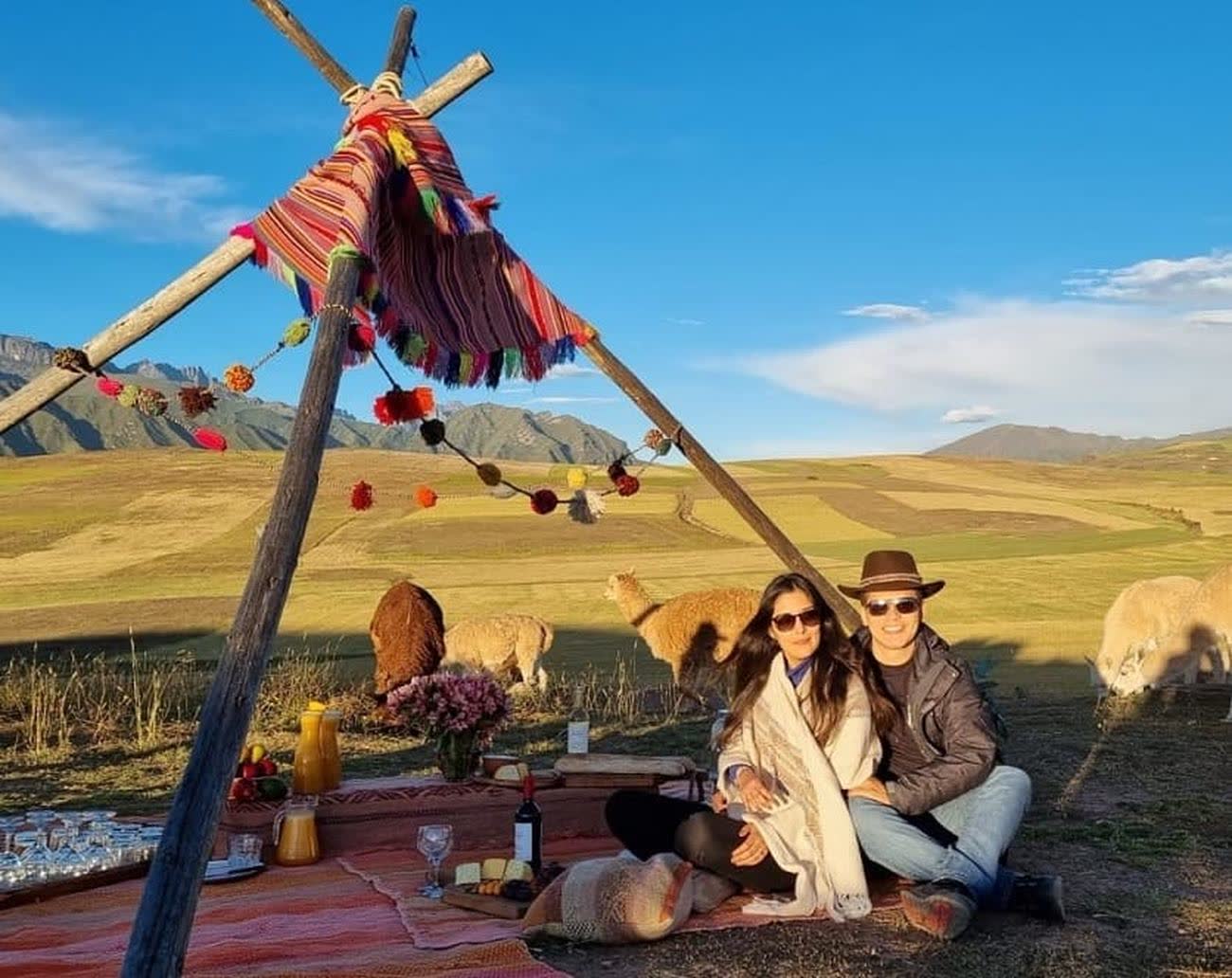 Picnic with alpacas in the Sacred Valley